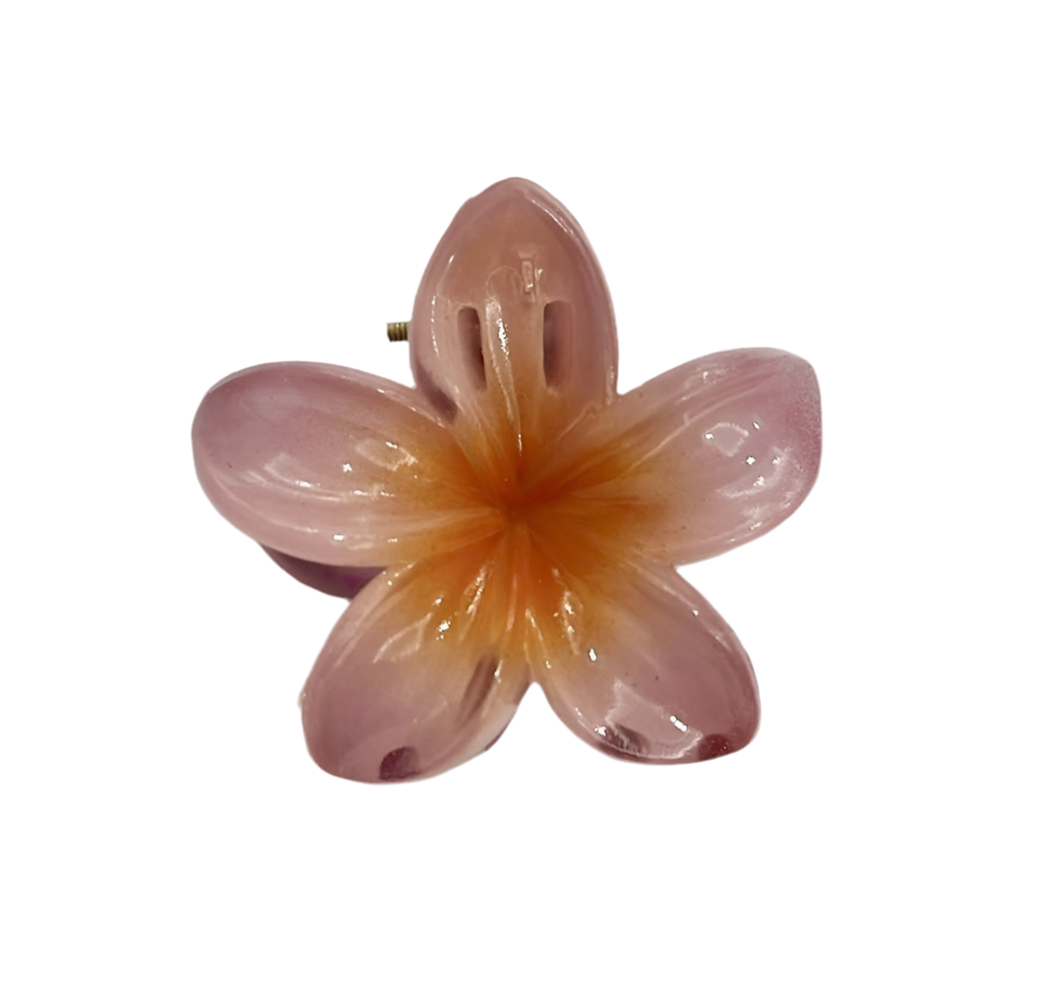 PINZAS HAWAIANAS 4 CM