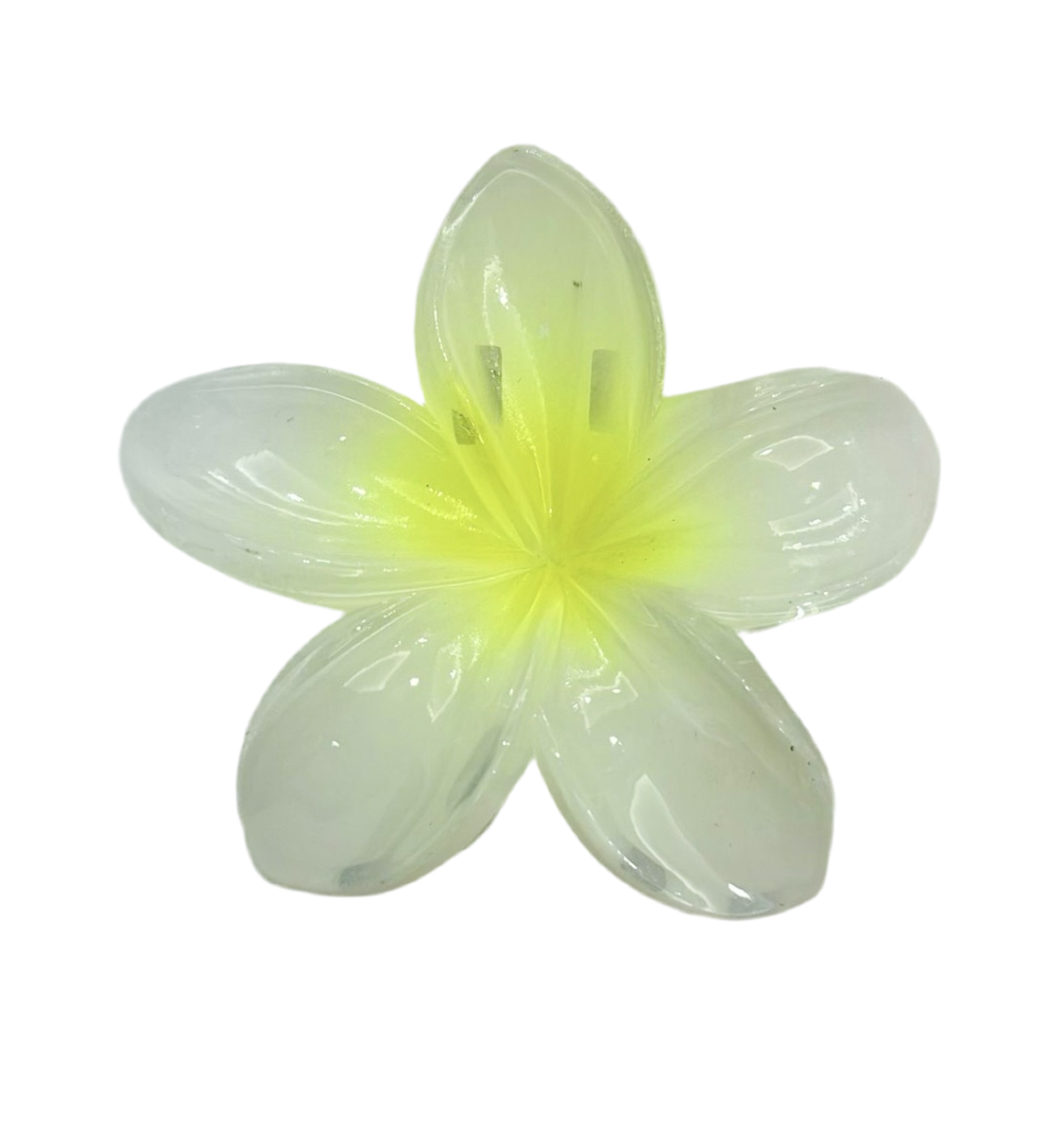 PINZAS HAWAIANAS 8CM