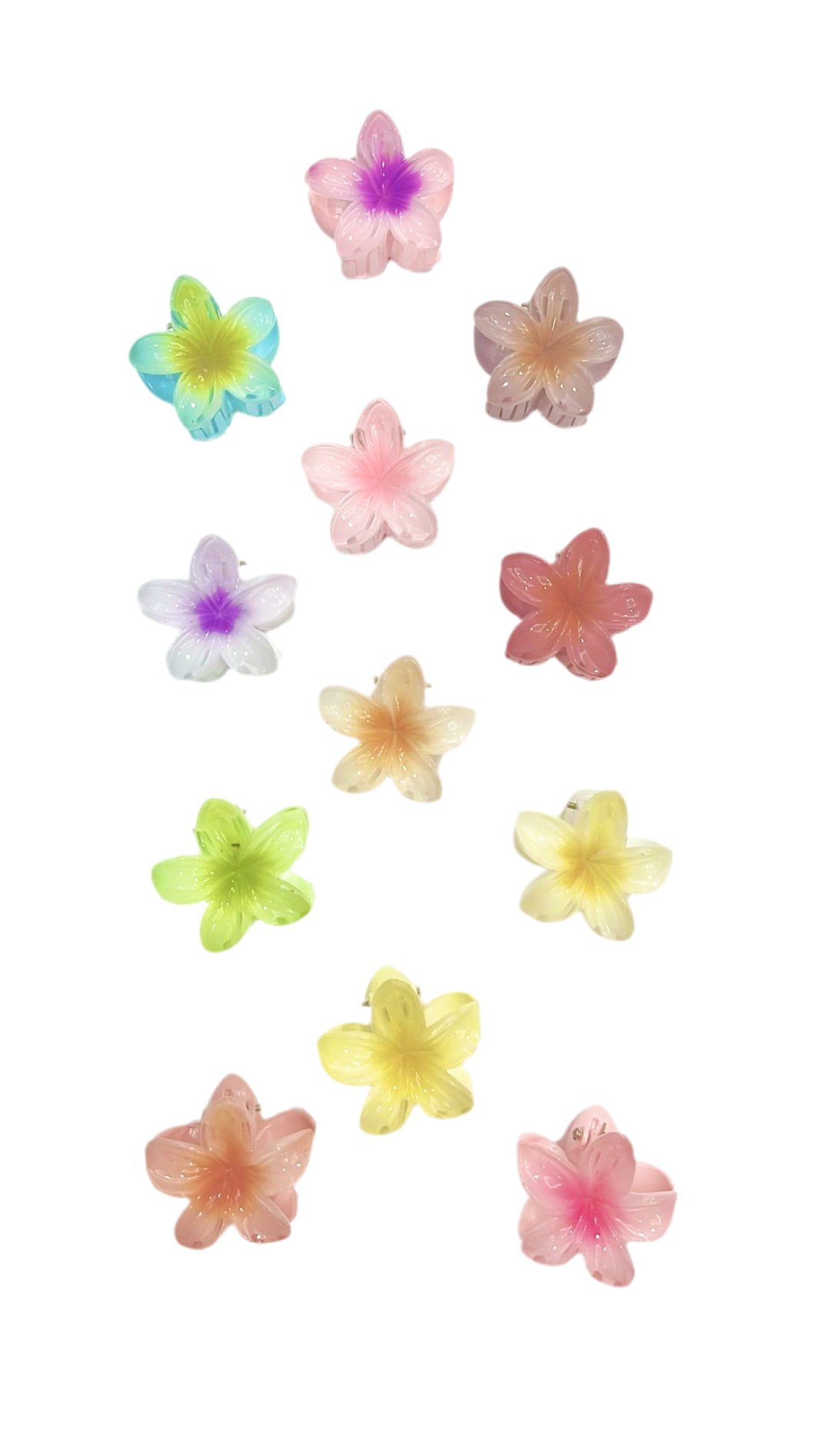 PINZAS HAWAIANAS 4 CM