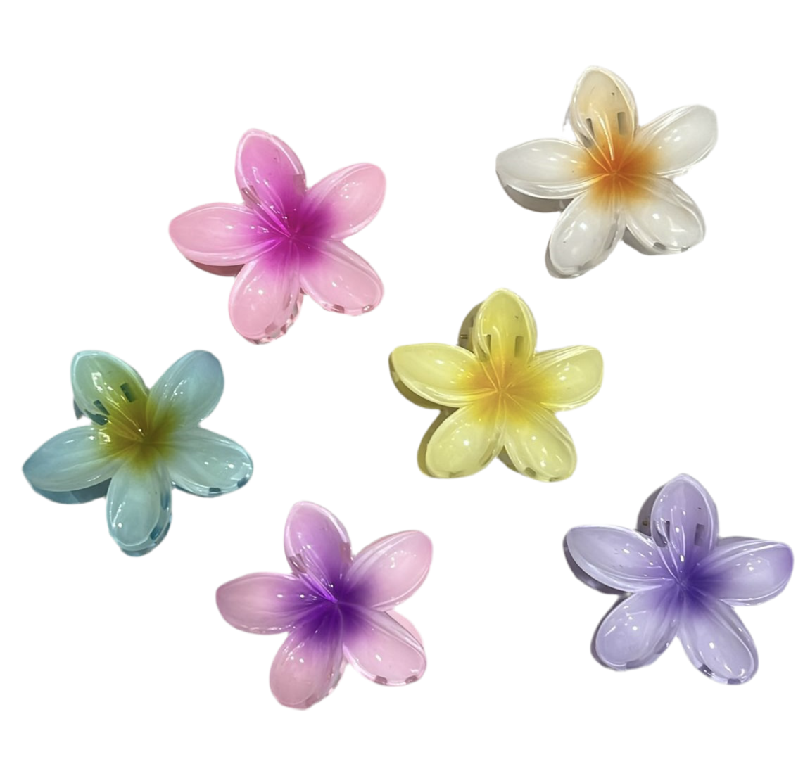 PINZAS HAWAIANAS 6CM
