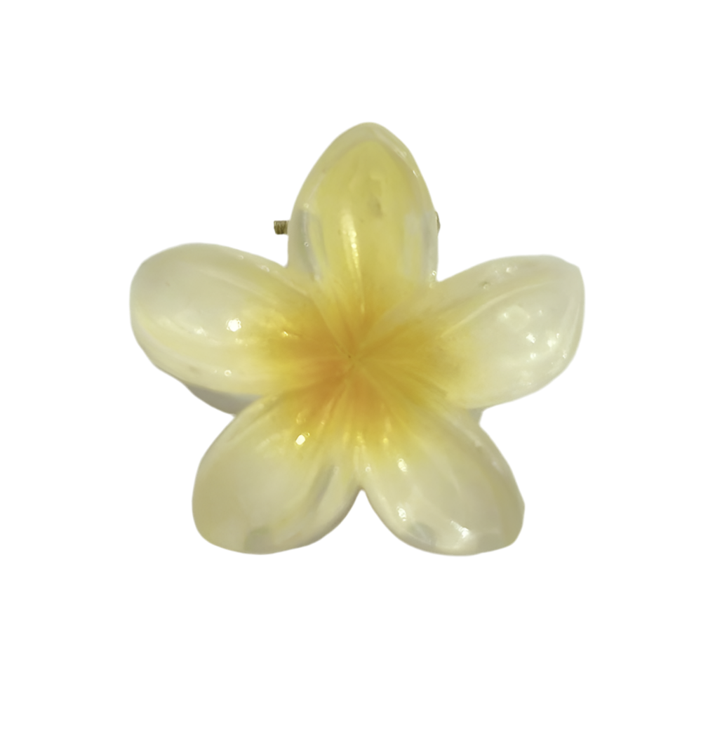 PINZAS HAWAIANAS 4 CM