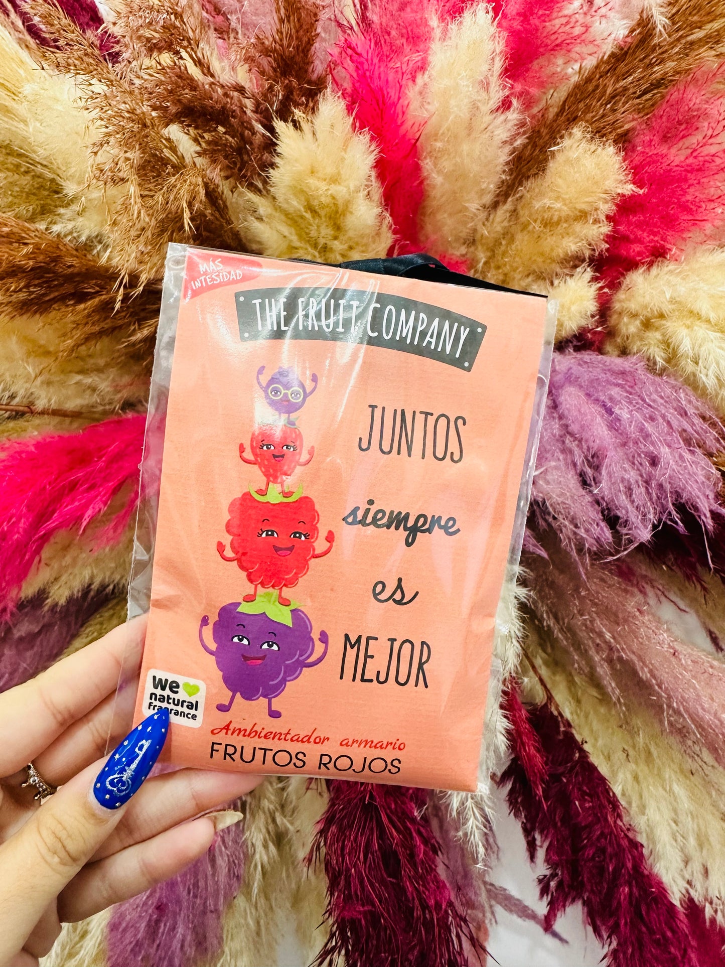 AMBIENTADOR DE ARMARIO FRUTOS ROJOS TFC
