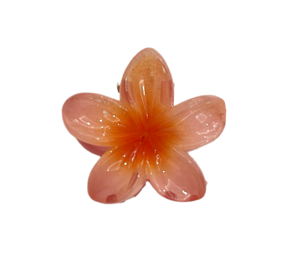 PINZAS HAWAIANAS 4 CM