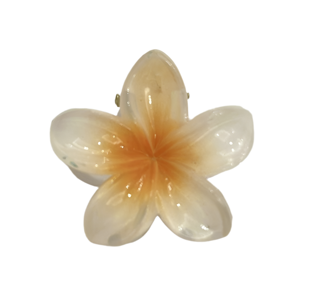 PINZAS HAWAIANAS 4 CM