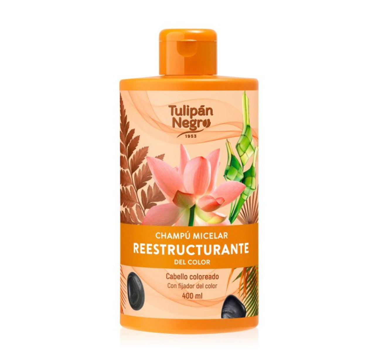 CHAMPÚ MICELAR REESTRUCTURANTE DEL COLOR - TULIPÁN NEGRO